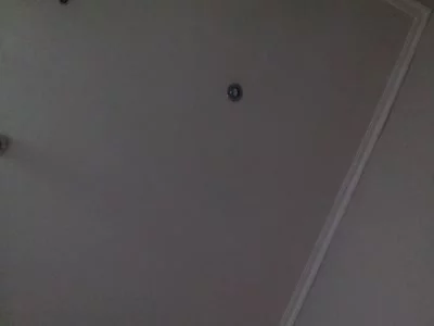 贵在真实